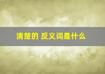 清楚的 反义词是什么